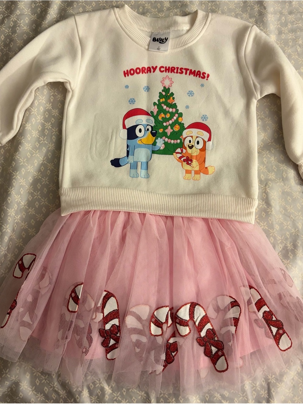 Bluey Christmas Outfit